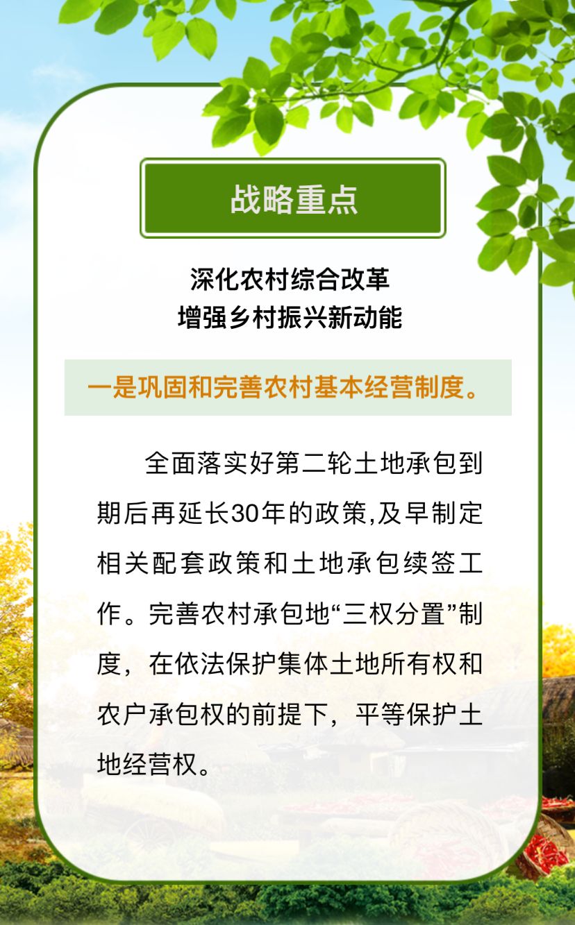 咨询 第913页