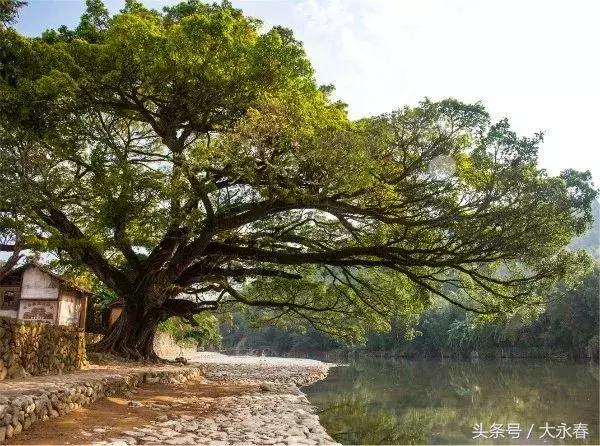 新时代下的新澳门三中三理念，解答、解释与落实